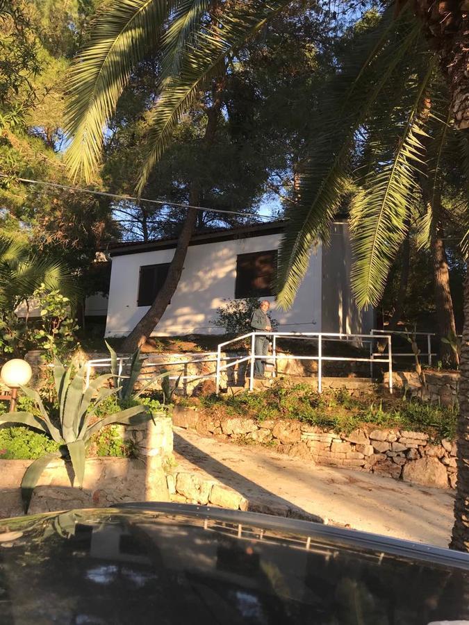Resort Village T.N. Milna Βις Εξωτερικό φωτογραφία